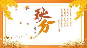 金色的银杏叶与芦苇背景 秋分演示PPT模板