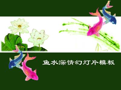 鲤鱼和莲花背景的中国风格幻灯片模板