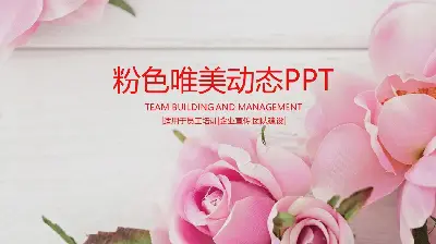 粉紅色的美麗玫瑰背景PPT模板