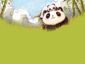 大熊貓和小熊貓在綠色竹林中的PPT背景圖片