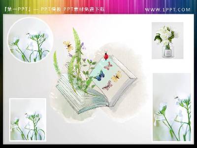 新鲜的绿色植物书蝴蝶PPT插图