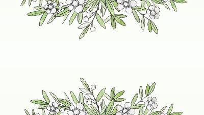 四张水彩绿叶和白花植物PPT背景图片