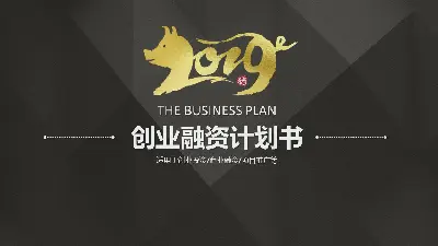 黑金2019年企业融资计划PPT模板