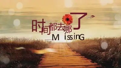 《时间都去哪儿了》怀念同学纪念品PPT模板