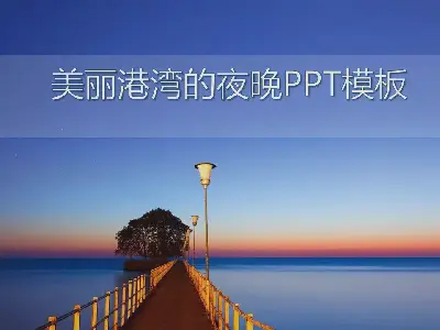 美麗港灣的迷人夜景幻燈片模板