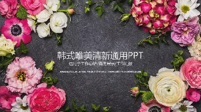 美丽的花卉背景韩式风格PPT模板