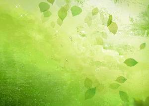 綠色透明的樹葉美學PPT背景圖片