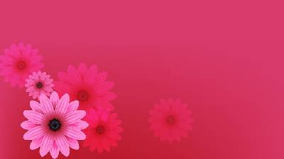 粉紅色美麗的小花PPT背景圖片