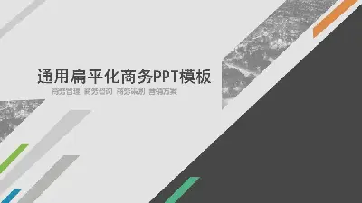 灰色通用平面商业报告PPT模板