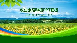 绿色稻田背景的农业PPT模板