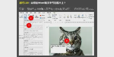 如何在Word中的圖片上寫文字？