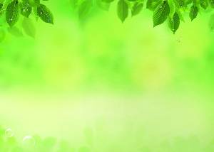 水滴葉子黃綠色調的PPT背景圖片