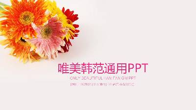 唯美的菊花背景PPT模板