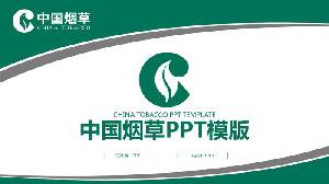 綠灰相間的中國菸草PPT模板
