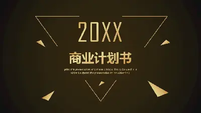 黑与金的色彩方案商业计划书PPT模板