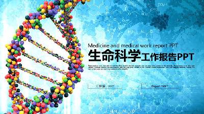 生命科學PPT模板與DNA分子結構圖的背景