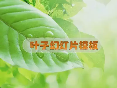 鲜叶幻灯片模板