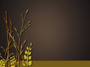 大米和小麦背景的植物性幻灯片模板