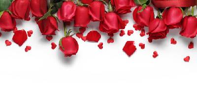 五朵精緻的玫瑰花PPT背景圖片