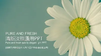 淡雅清新的小花背景PPT模板