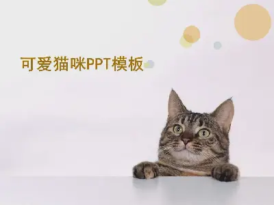 可爱的猫咪幻灯片模板