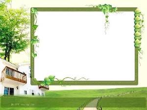 PPT課件背景圖片：草叢中的綠色藤蔓背景