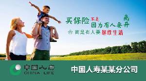 中國人壽保險業務介紹PPT模板