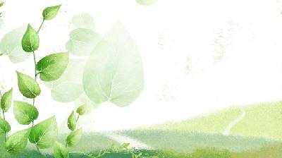綠色美觀的葉子幻燈片背景圖片
